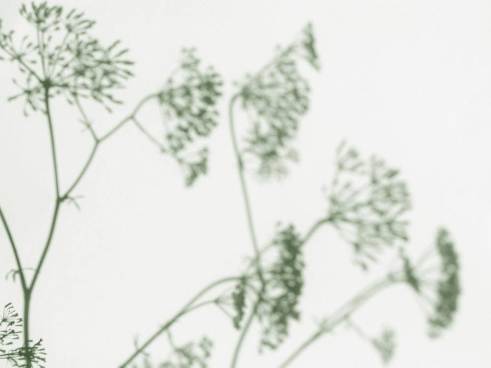 Дизайнерские обои Wall Street Vetve-22