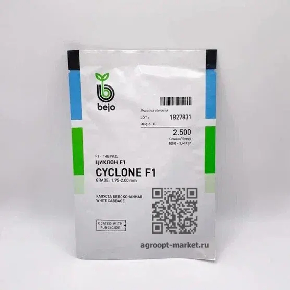 ЦИКЛОН F1 семена капусты белокочанной (Bejo | Alexagro) – фото 4