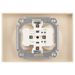 Розетка Intro Accent 6-204-04 двойная 2х2P 16А-250В IP20 СУ AL/CU шампань