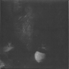 Sigur Ros / Inni (7" Vinyl Single+2CD+2DVD+Blu-Ray)