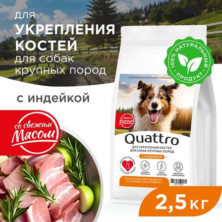 Корм сухой для взрослых собак крупных пород, премиум полнорационный комплекс, для укрепления костей у собак, с индейкой, 2,5 кг, QUATTRO