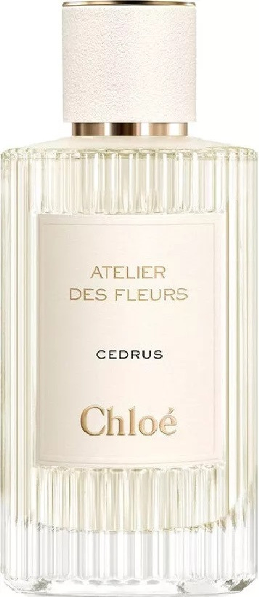 Chloe Atelier Des Fleurs Cedrus