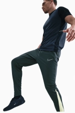 Штаны Nike Academy Therma-FIT Winter Warrior - зеленый