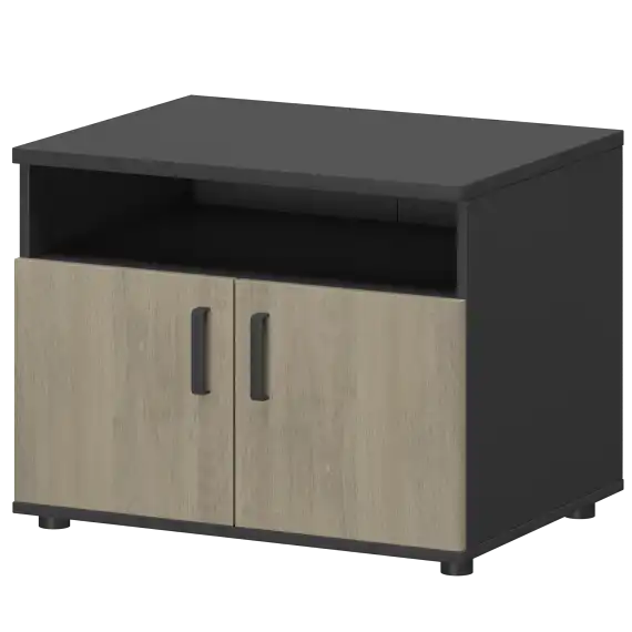 Тумба для оргтехники СМТ-2ДН Тип1  800x600x625 Смарт