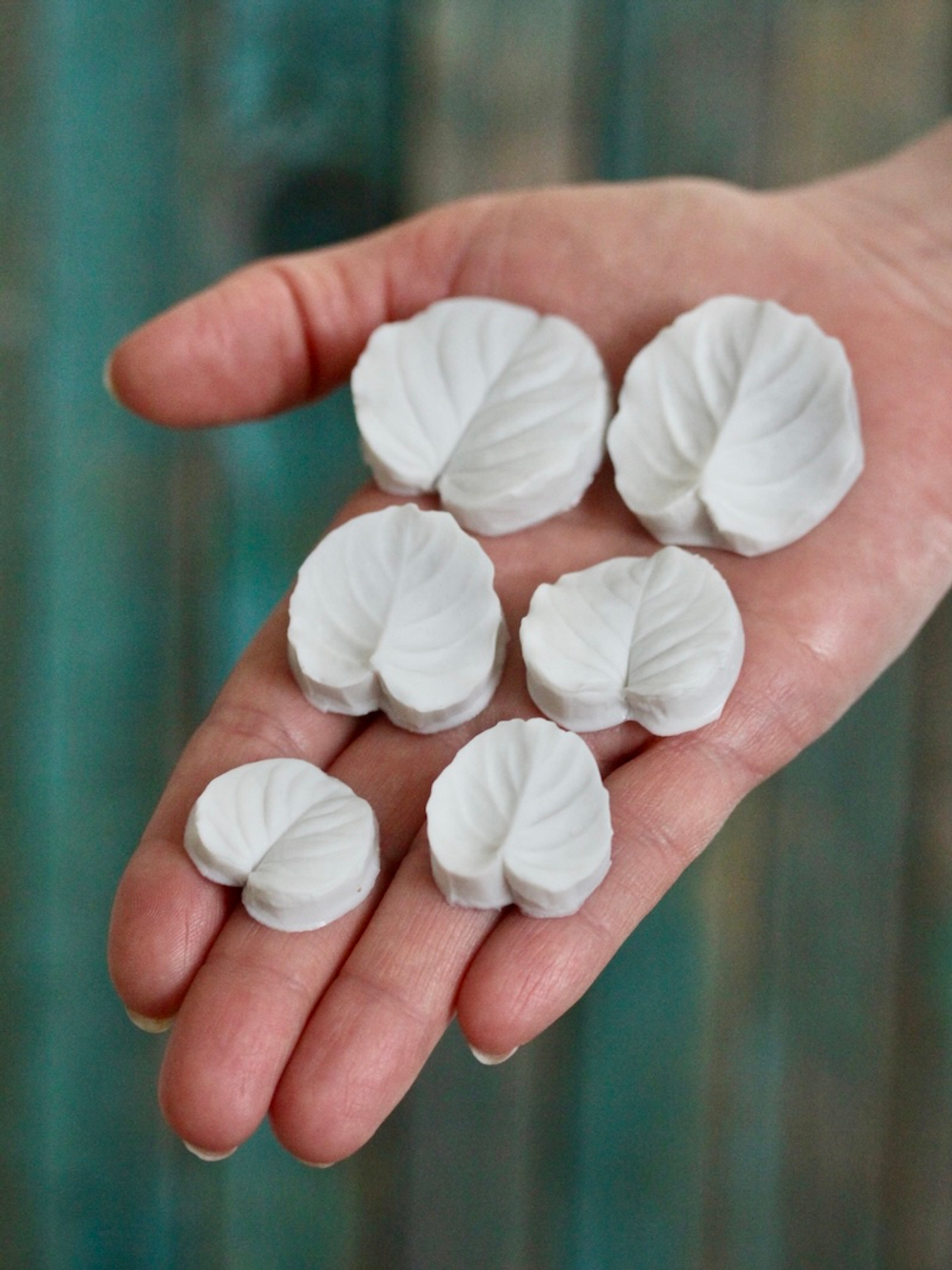 Набор вайнеров для лепки листьев эвкалипта Coprussia