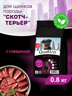 Корм сухой для щенков породы Скотч-терьер, с говядиной, 800 гр, QUATTRO