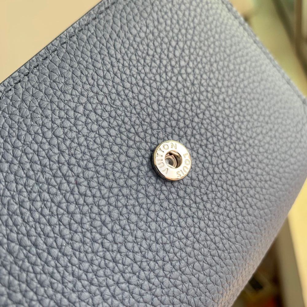 Louis Vuitton Aerogram Pilot Wallet