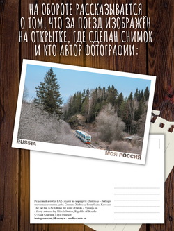 Моя Россия. Из окна поезда