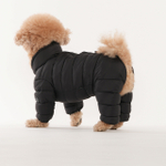 672 Комбинезон "Комфорт до -20-25°C" с молнией на спине, девочка/ COMFORT - FOR GIRLS, для девочки PREMIUM (SSOOOK)