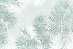 SELVA 11