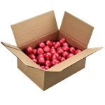 Cometa_cranberry_1,5