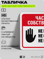 Табличка для частной территории "Частная собственность", на дом, для участка, организаций, предупреждающая, 40х30 см, Silver Plane x Айдентика Технолоджи