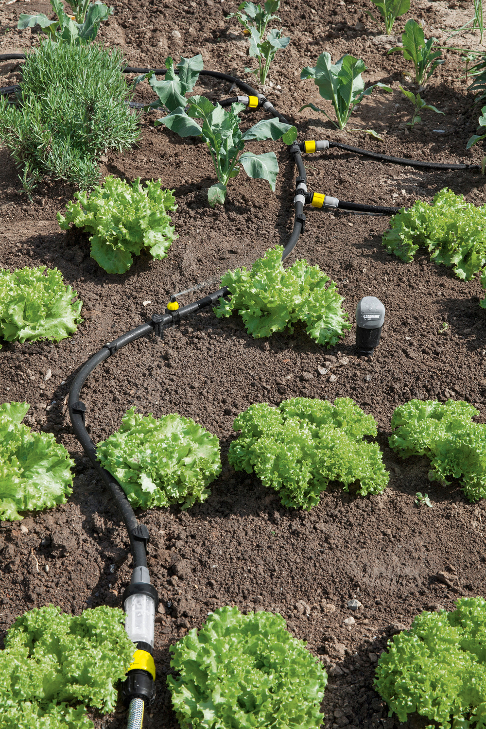 Редуктор с фильтром