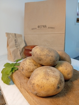 Картофель жёлтый Лисана