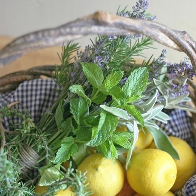 Отдушка Verbena & Lemon (Вербена и Лимон)