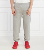 Спортивные штаны Kenzo - серый(FD65PA7034ME)
