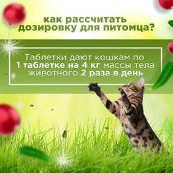 Таблетки от цистита и для профилактики мочекаменной болезни у кошек, Стоп-Цистит ПЛЮС, жевательные таблетки со вкусом печени, 30таб