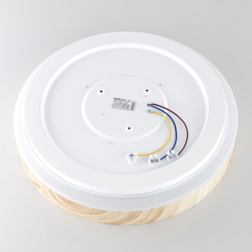 Citilux ENZO CL753352G LED RGB Светильник с пультом Клён