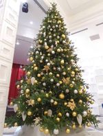 Елка 5 м Виктория