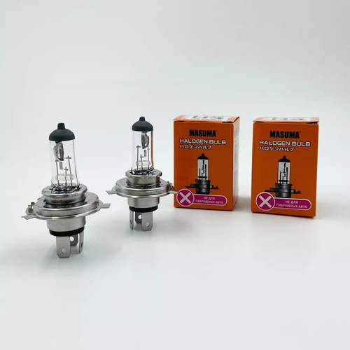 Лампа H4 галогеновая белый свет 2шт Masuma