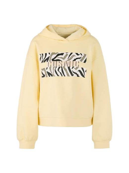 AS 44.12 J38   свитшот