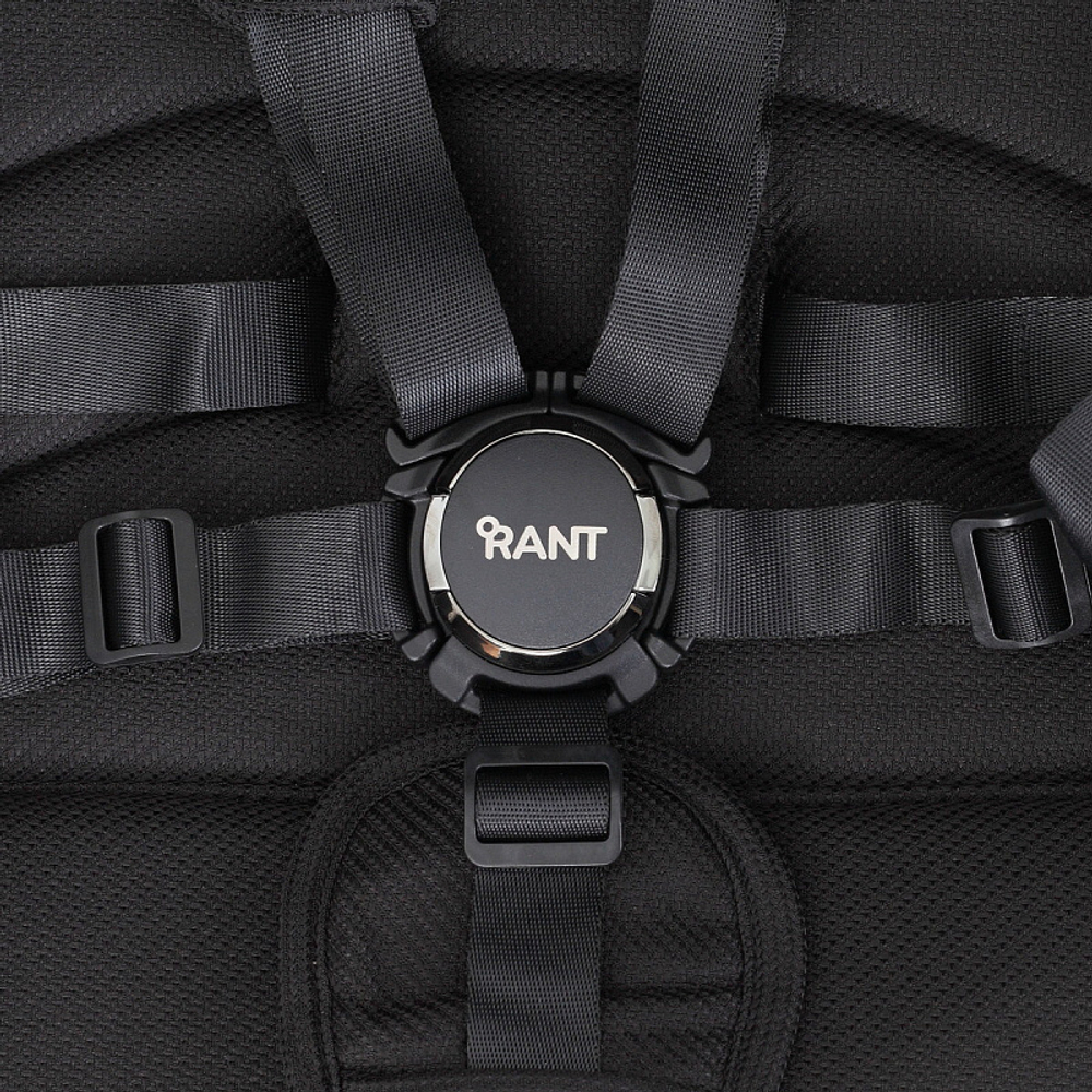 Детская коляска Rant Falcon 2 в 1 Black