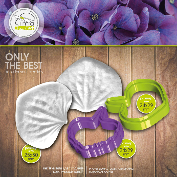 Гортензия лепесток маленький