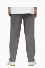 Штаны Puma Borussia Dortmund 25/26 Tech - серый