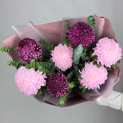 Букет цветов из 7 одноголовых хризантем Бигуди, розово-бордовый микс