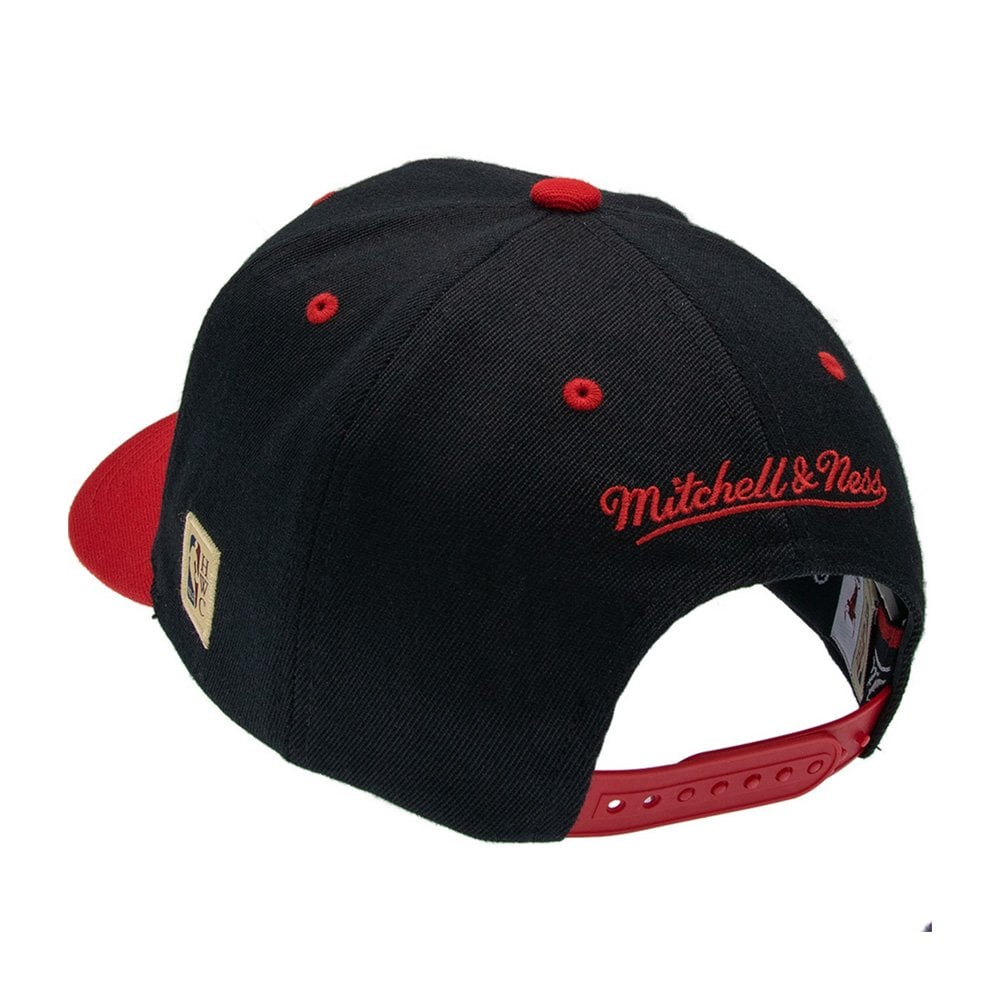 Баскетбольная кепка Mitchell&Ness Chicago Bulls Team Arch