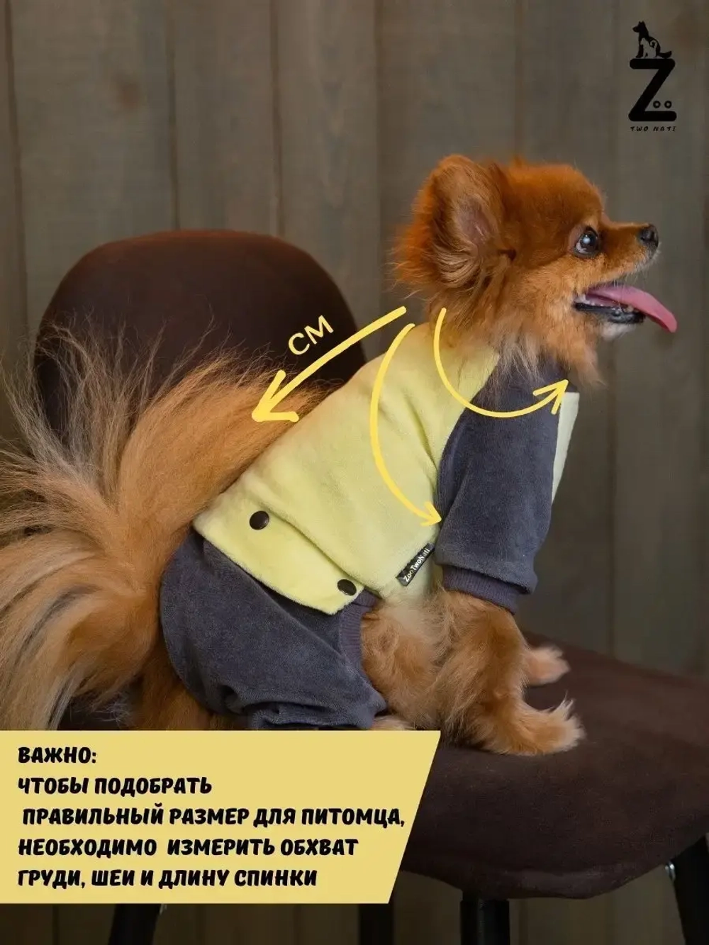 Комбинезон костюм для собак и кошек