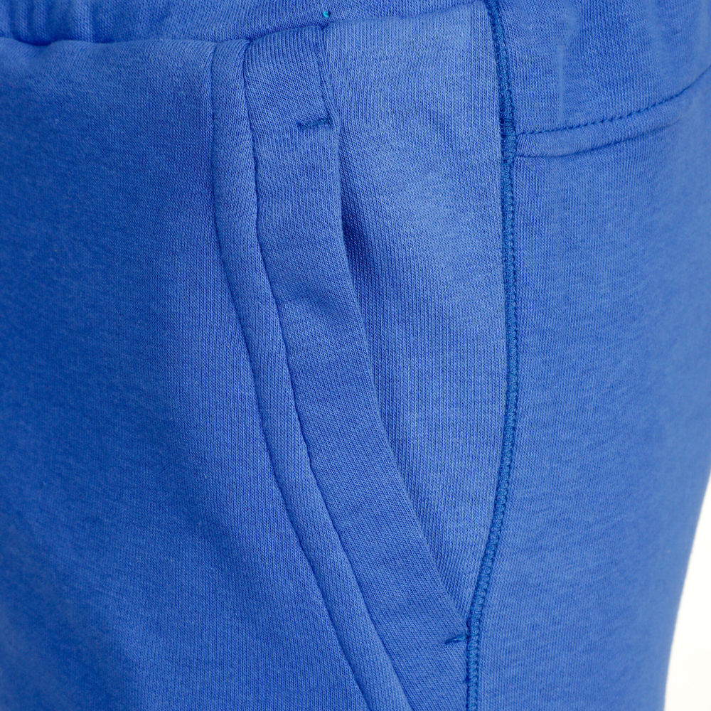 Мужские теннисные шорты Fila Alfonso Shorts Men - Blue