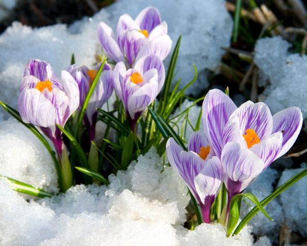 Готовимся к весне с новыми целями!