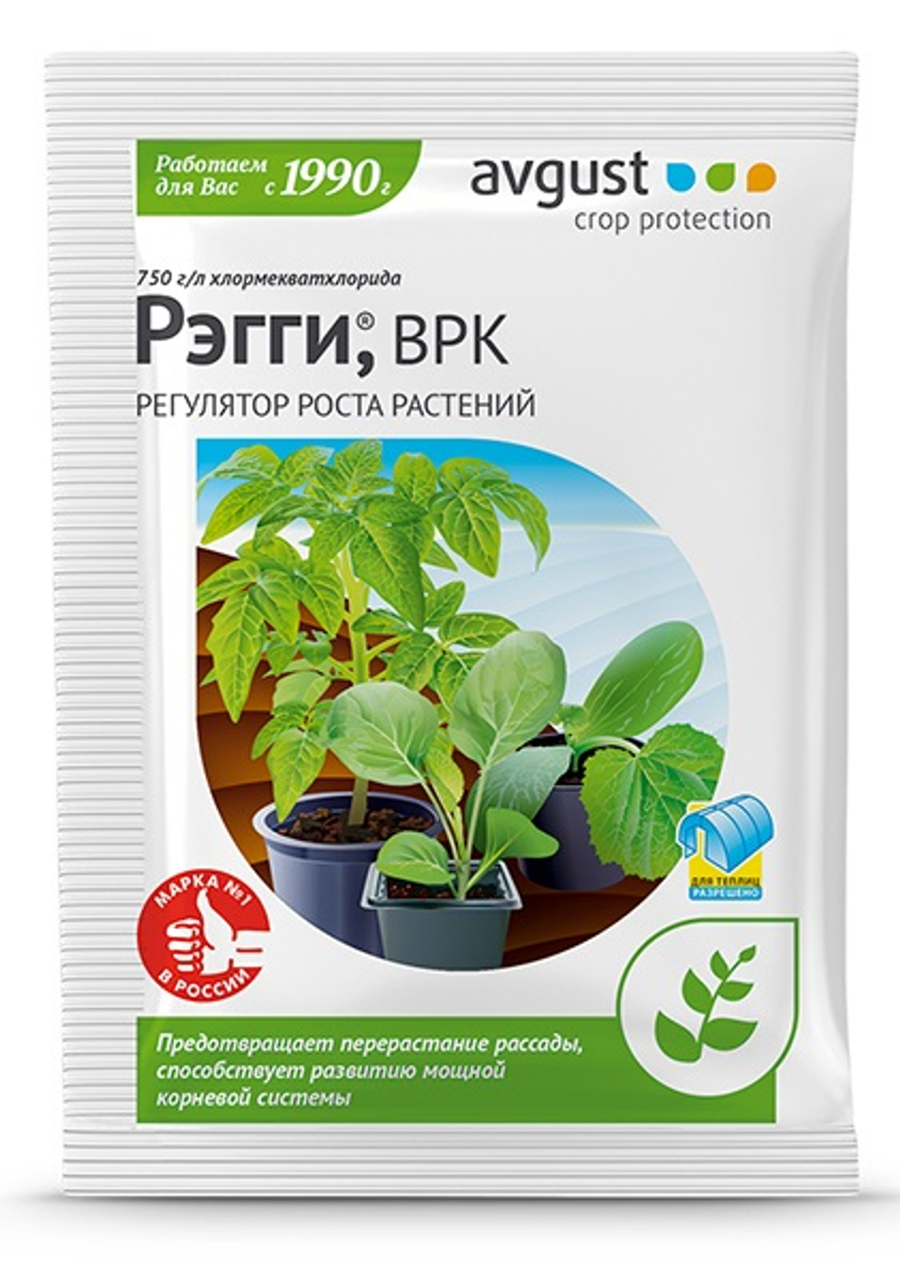 Рэгги 1мл (Август)