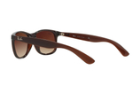 Ray-Ban Andy RB4202 607313