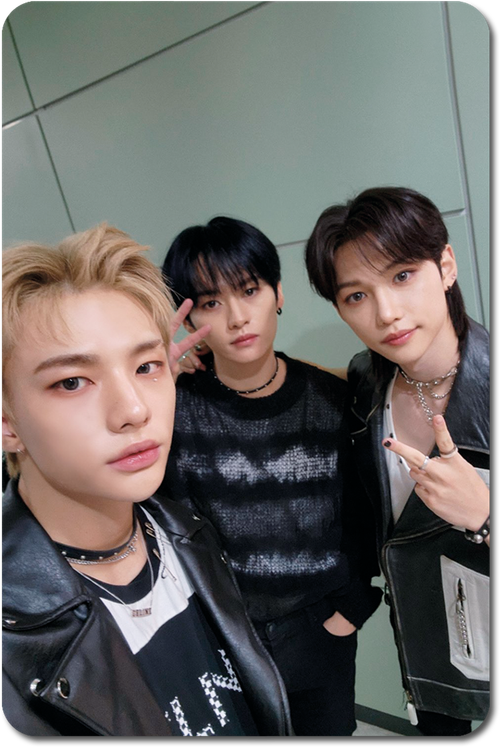 Карта / STRAY KIDS #0646