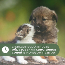 Капли урологические для профилактики и лечения МКБ, острых и хронических заболеваний мочевыводящих путей и почек АВЗ Уролекс для собак и кошек, 20 мл
