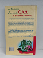 Зимний сад в вашей квартире