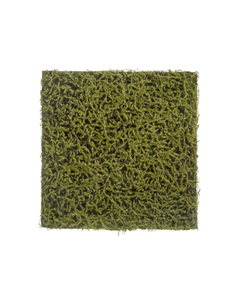 Мох Сфагнум Fuscum оливково-зелёный (полотно)