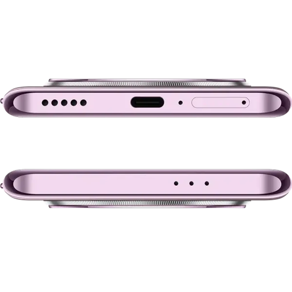 Смартфон Honor X9c 12/256Gb Titanium Purple (BRP-NX1)