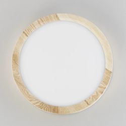 Citilux Бейсик CL738122N LED Светильник накладной Клён