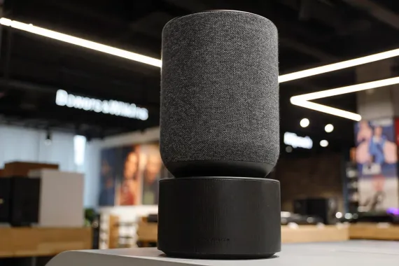 Bang & Olufsen Beosound Balance Black Oak