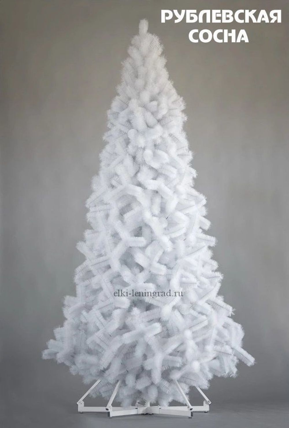 Большая белая елка «Рублевская Сосна» (Белая леска) 8 м