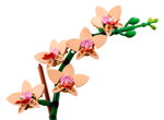 LEGO Botanical Collection 10343 Мини-орхидея — декоративный конструктор для взрослых