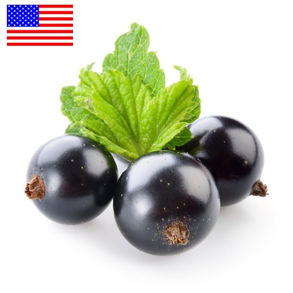 Black Currant | Смородина чёрная (TPA), ароматизатор пищевой