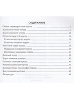 Клиническая анатомия черепа