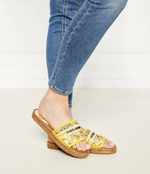 Шлепанцы Dolce & Gabbana - желтый(CE0148 AV804)