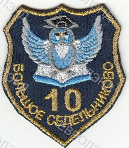 Эмблема 10 г. Большое Седельниково
