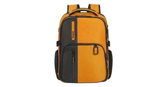 Рюкзак Samsonite BIZ2GO 142144/4702