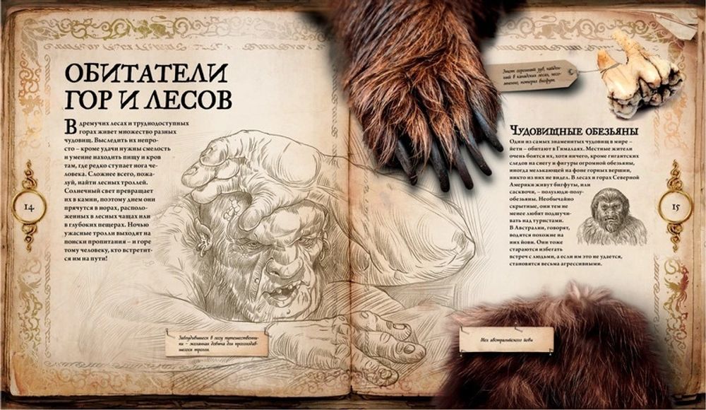 Мир фантастических чудовищ. Мифические существа и свирепые твари